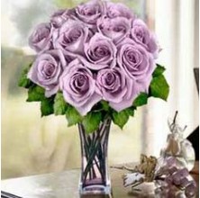 Purple Love - 12 Stems Vase